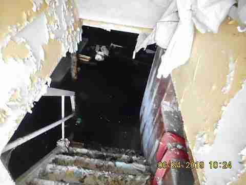 19604 Albion (11)_m.jpg